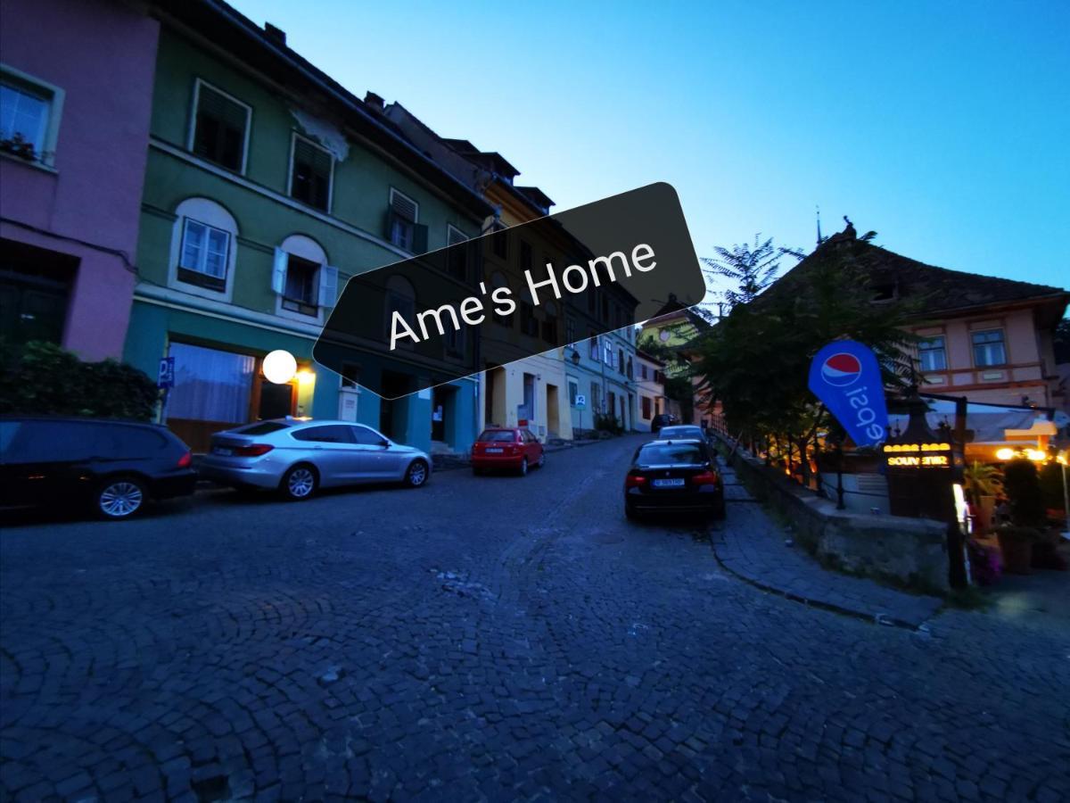 Ame'S Home Сигишоара Экстерьер фото